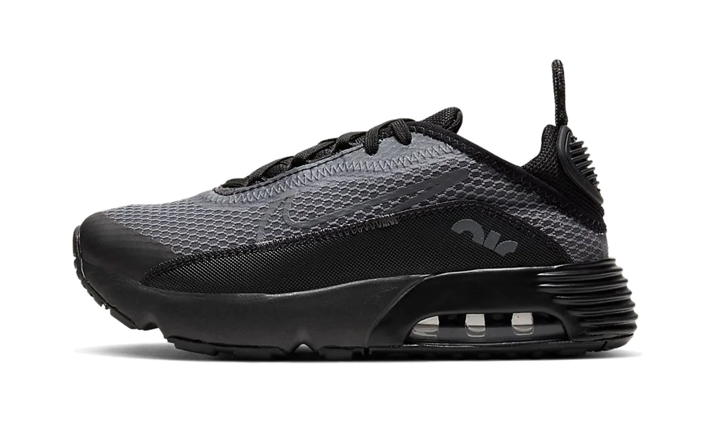 Air Max 2090 PS "Black Wolf Grey" CU2093 001
