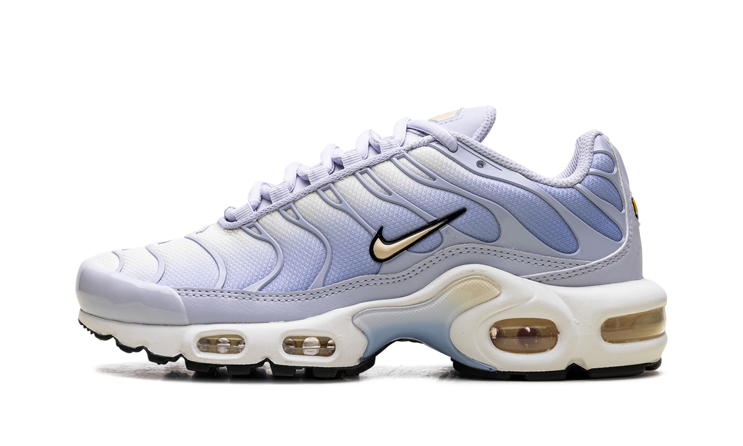 Air Max Plus WMNS"Daybreak" DZ3670 004