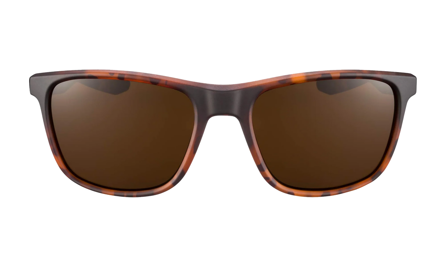 Essential Endeavor Sunglasses "Matte Tortoise / Brown" EV1122 202