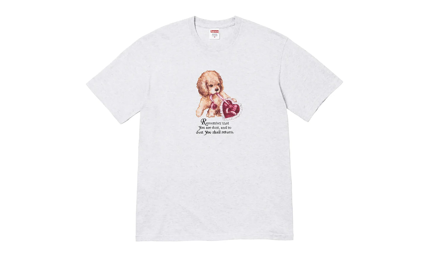Dust Tee "FW25 - Ash Grey" SU26813