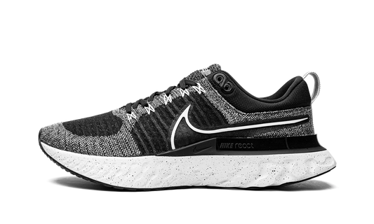 React Infinity Run Flyknit 2 CT2357 101