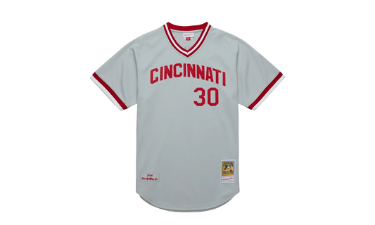 MLB Ken Griffey Jr. Alternate Jersey "2004 Cincinnati Reds - Grey" AJY17187 CRE04KGJGREY