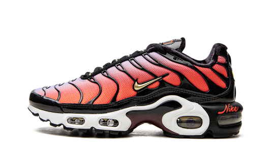 AIR MAX PLUS MNS WMNS "Sisterhood" DO6115 500