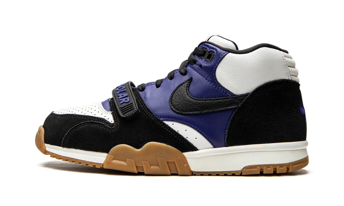 SB Air Trainer 1 "Polar Skate Company" CI6892 001