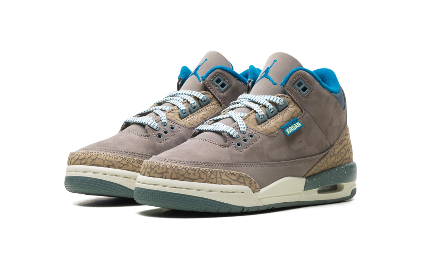 Air Jordan 3 GS "We Outside" IB7066 001