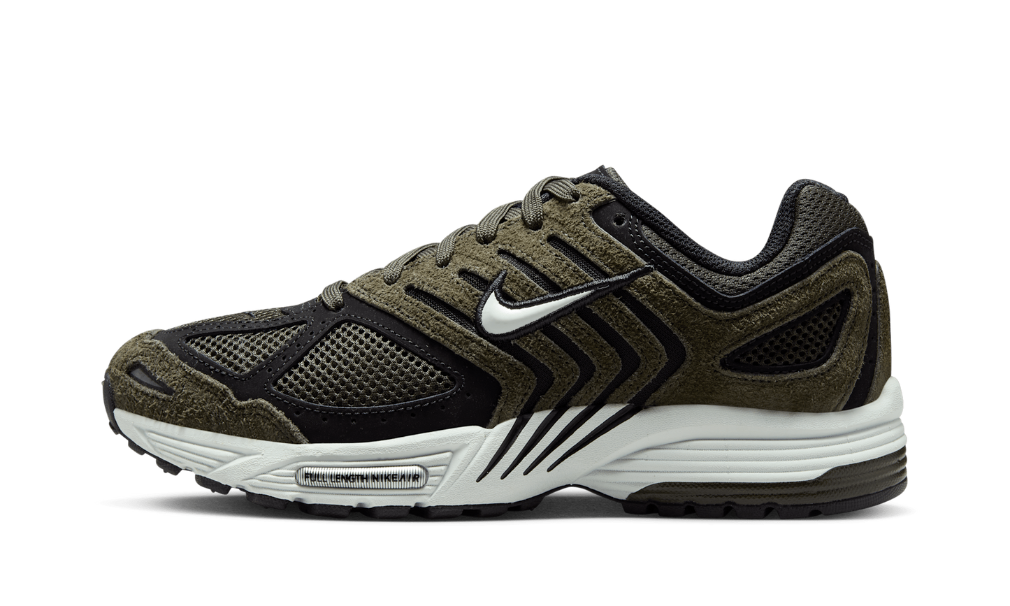 Air Peg 2K5 WMNS"Sequoia Black" HJ5271 300