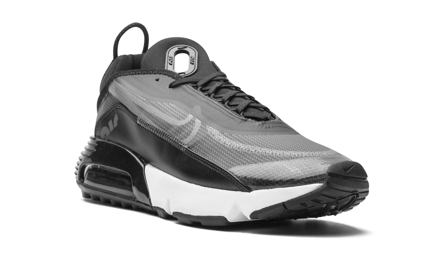 AIR MAX 2090 "Black / Wolf Grey" CW7306 001