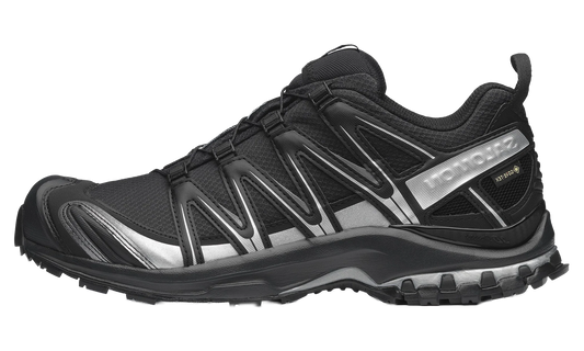 XA Pro 3D Gore-Tex "Black Silver" L49214300