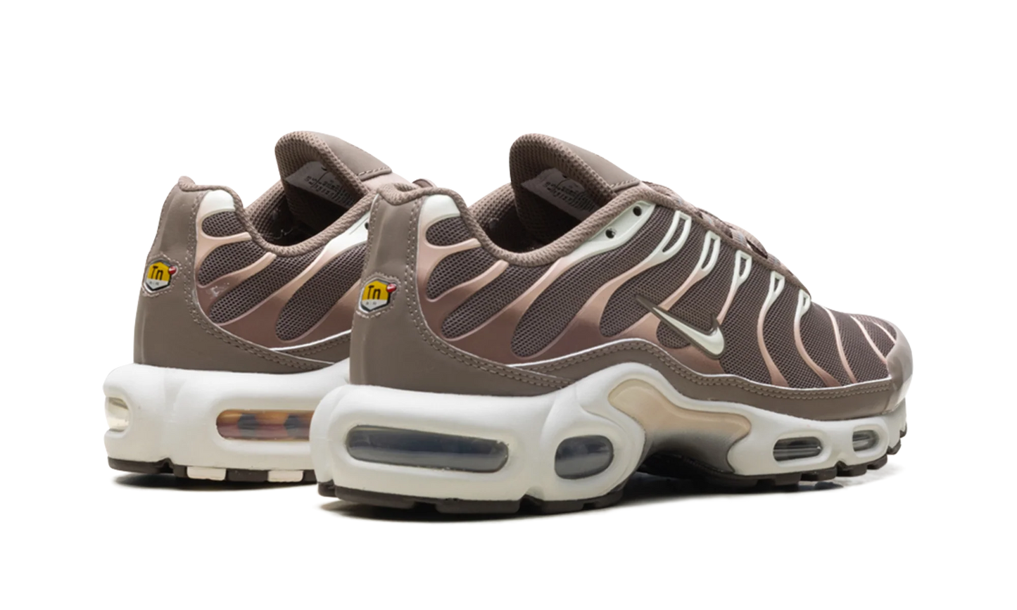 Air Max Plus "Mink Brown" DZ3671 200