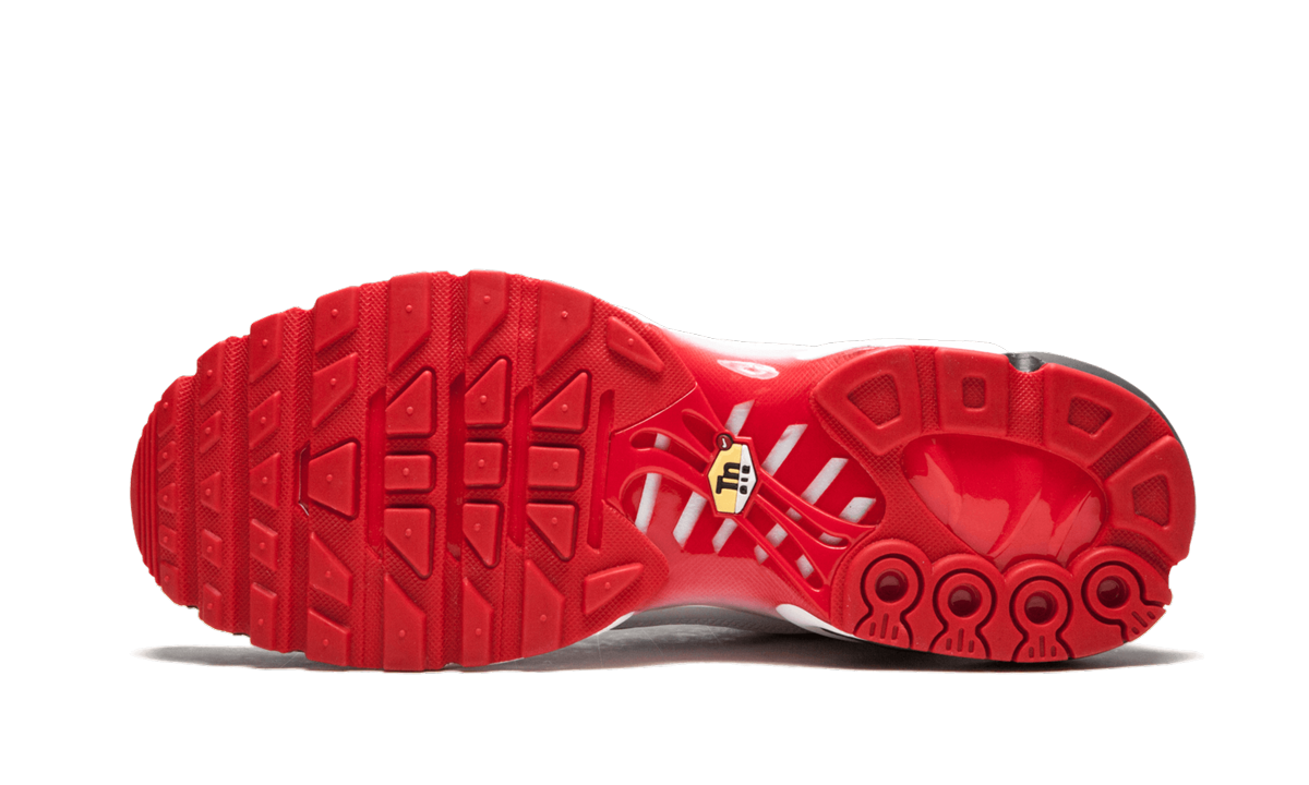 Air Max Plus TN SE AQ0237 100