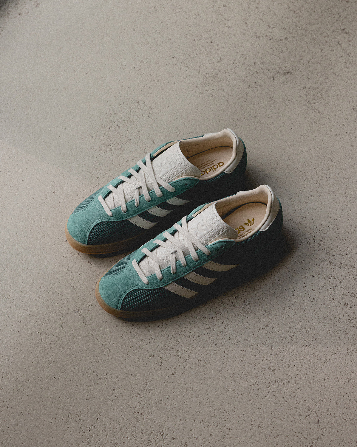 Gazelle Indoor Pro