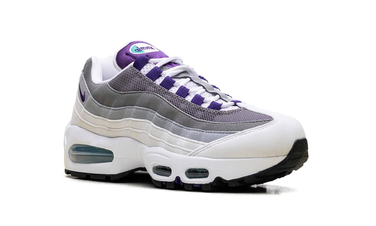 Air Max 95 WMNS"Grape" HJ5996 100