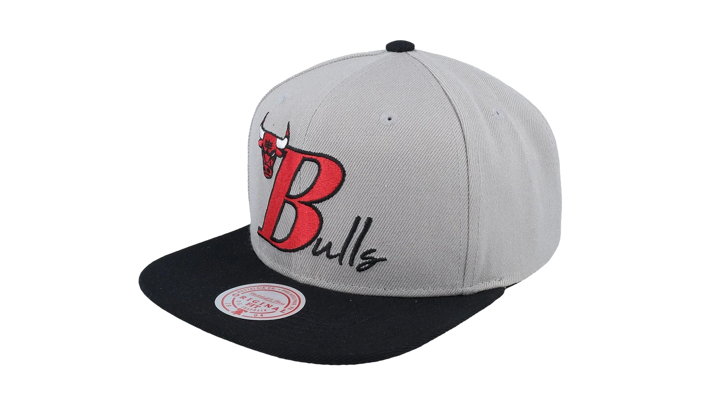 NBA Top Letter Snapback Cap "Chicago Bulls - Grey" HHSS6582 CBUYYPPPGREY