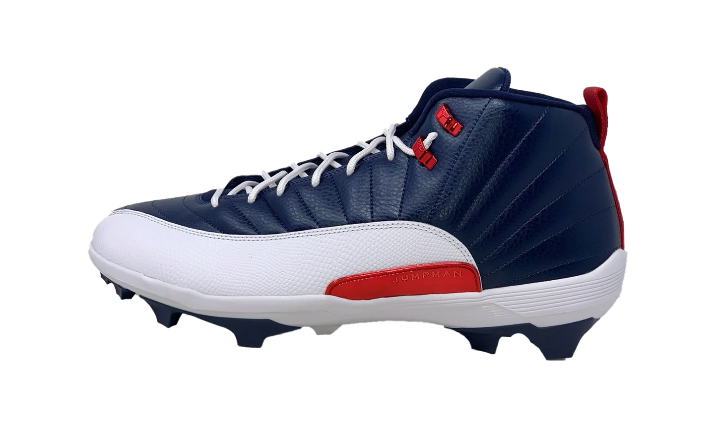 Jordan 12 Force Savage 3 PE "Howard Bison'" FJ6223 416