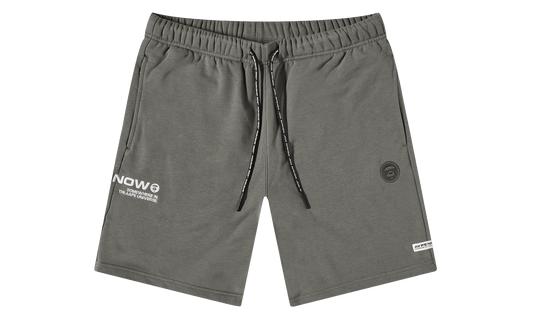 AAPE Embroidered Sweat Shorts "Cool Grey" 897FF6A8