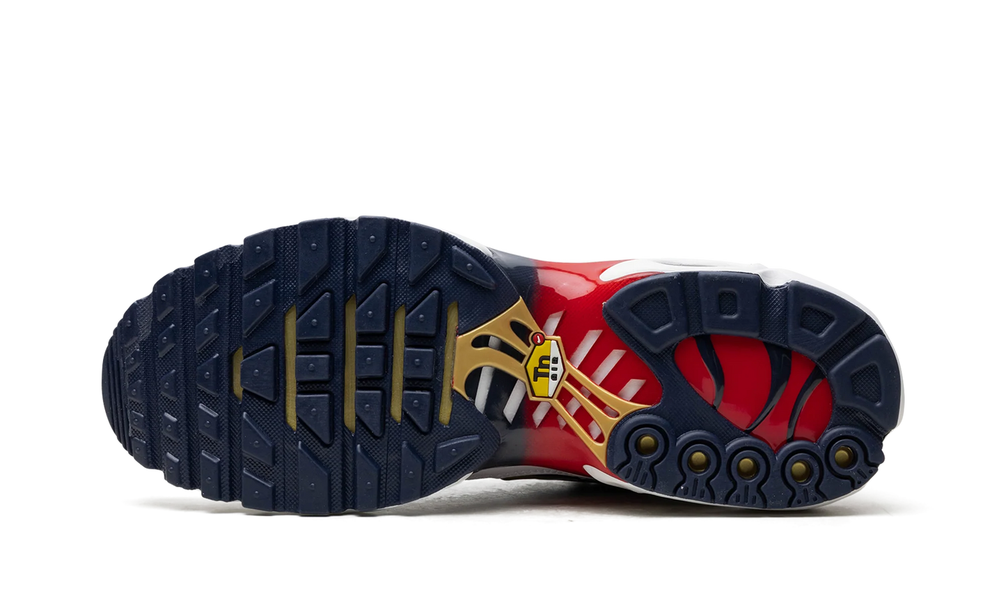 Air Max Plus "PSG" FZ4776 100