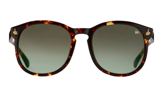 Revolution Acetate "Brown Tortoise / Gray Gradient" MPRE2 0007 40T5