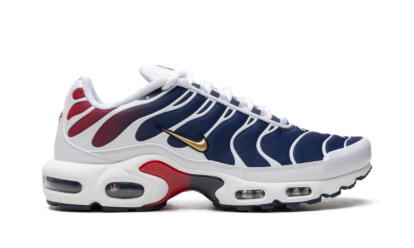 Air Max Plus "PSG" FZ4776 100