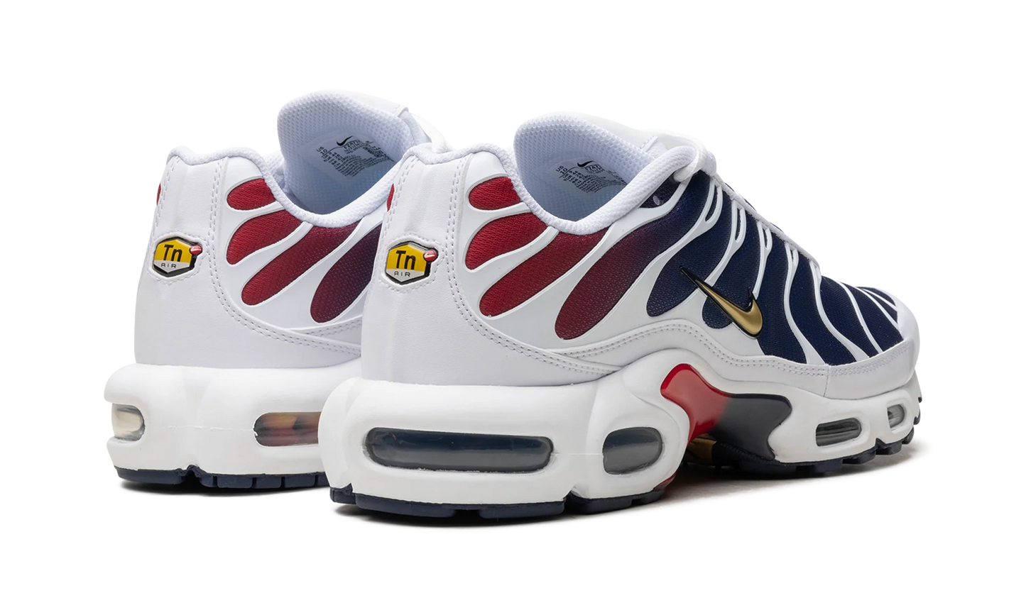 Air Max Plus "PSG" FZ4776 100