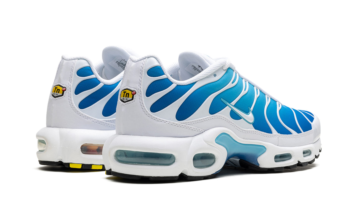 Air Max Plus "Blue Gaze" 852630 411
