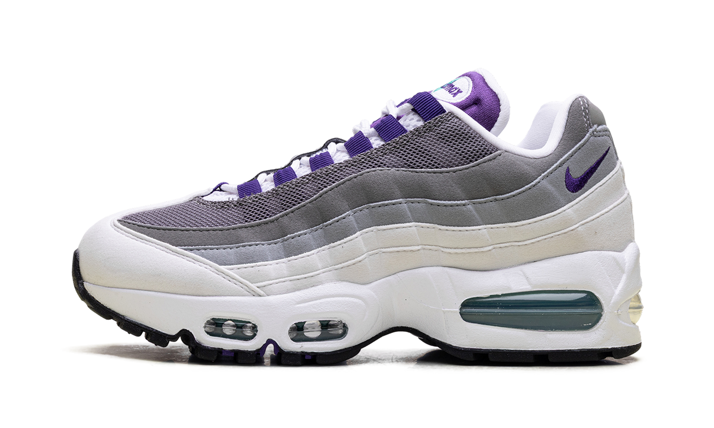 Air Max 95 WMNS"Grape" HJ5996 100