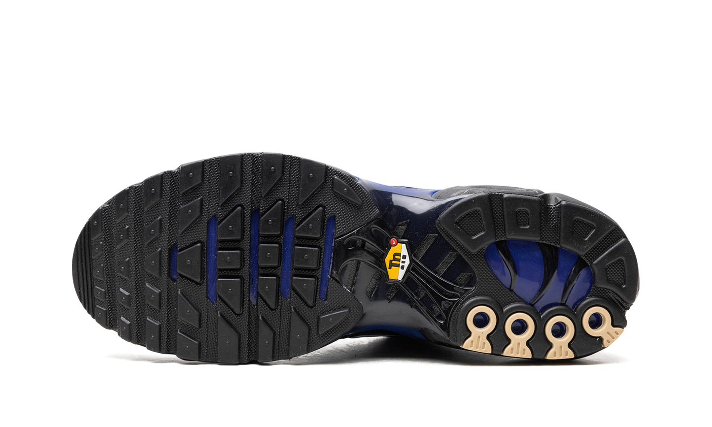 AIR MAX PLUS "Black" FQ7331-001