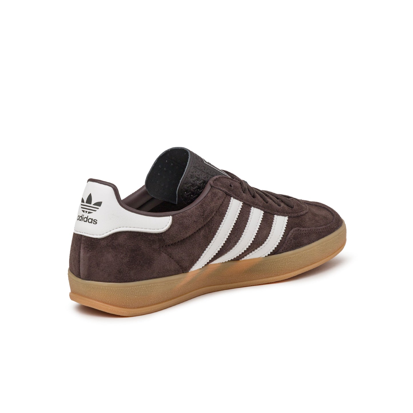 Gazelle Indoor